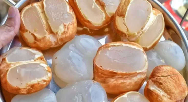 palm fronds in summer