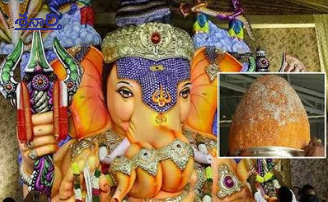 Ganesh Laddu record